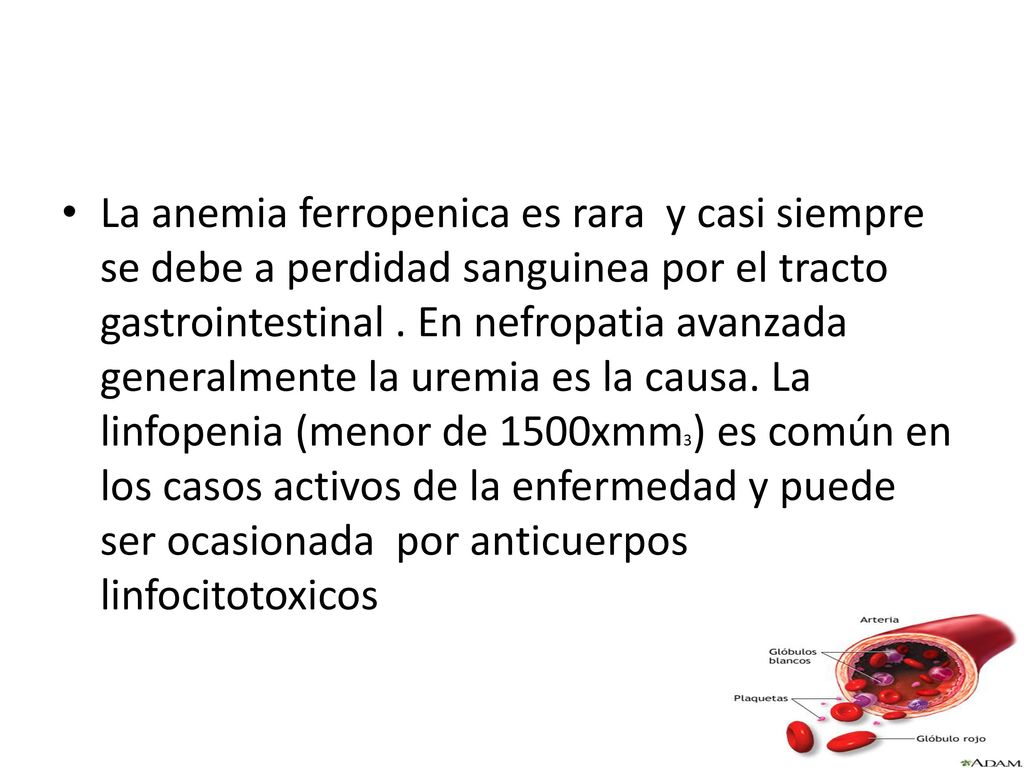 La anemia ferropenica es rara y casi siempre se debe a perdidad sanguinea por el tracto gastrointestinal .