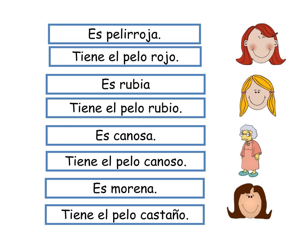 Es pelirroja. Tiene el pelo rojo. Es rubia Tiene el pelo rubio.