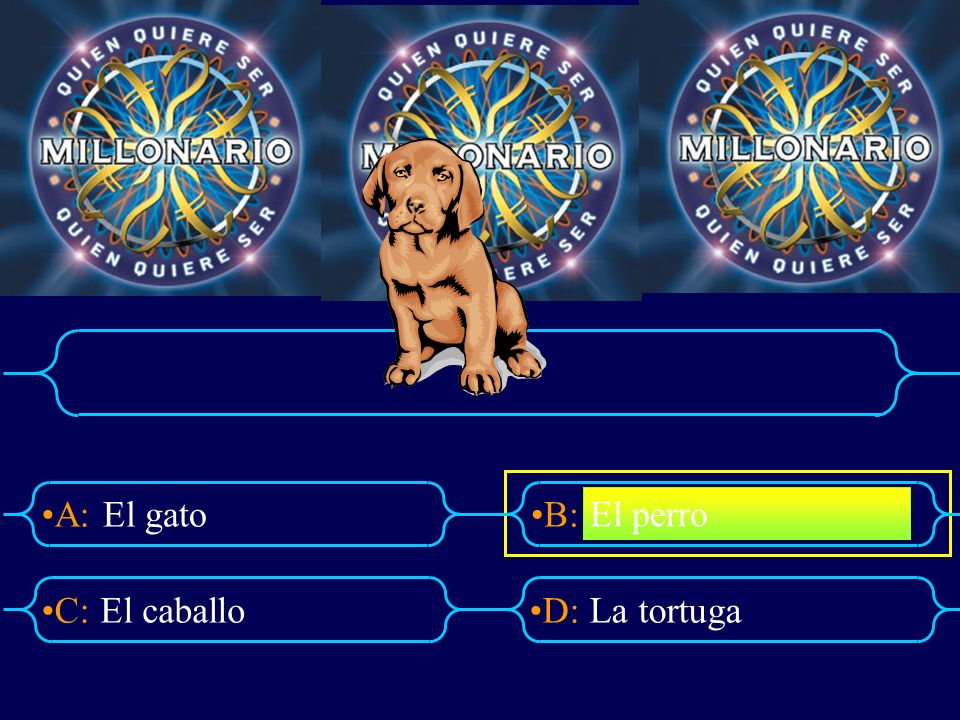 A: El gato B: El perro C: El caballo D: La tortuga
