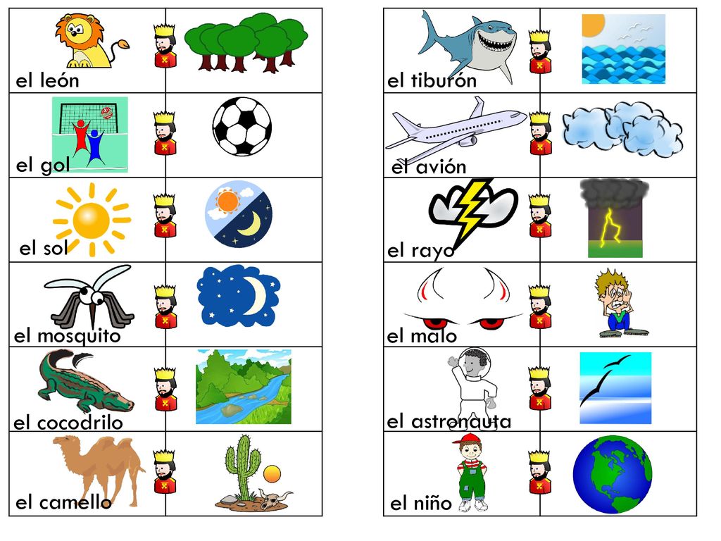 el león el tiburón el gol el avión el sol el rayo el mosquito el malo