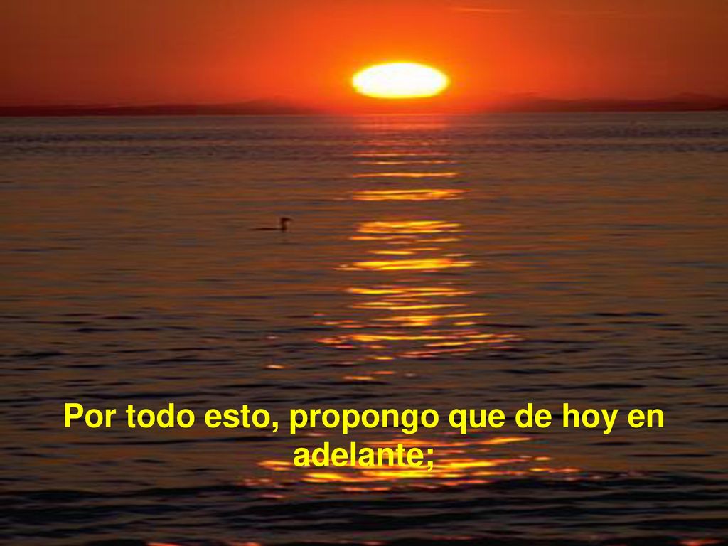 Por todo esto, propongo que de hoy en adelante;