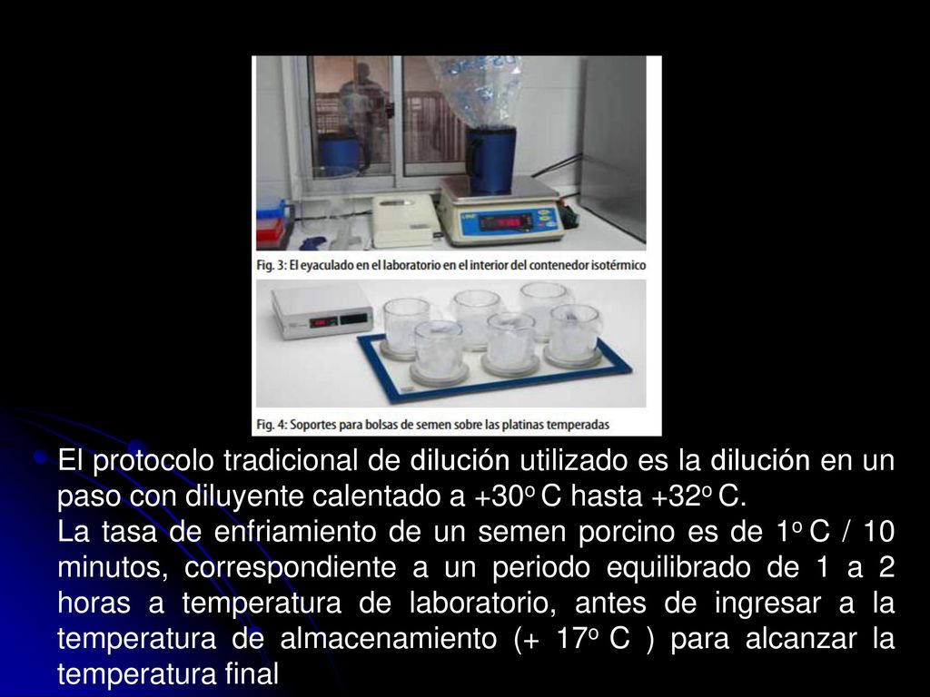 El protocolo tradicional de dilución utilizado es la dilución en un paso con diluyente calentado a +30o C hasta +32o C.