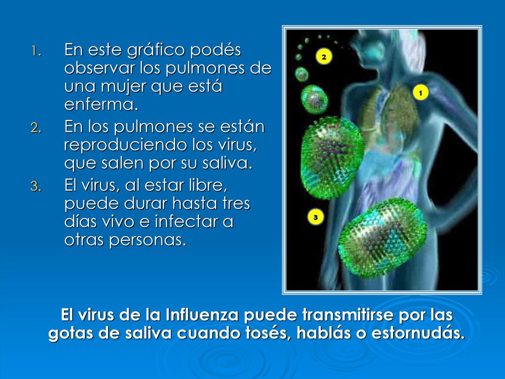 En este gráfico podés observar los pulmones de una mujer que está enferma.
