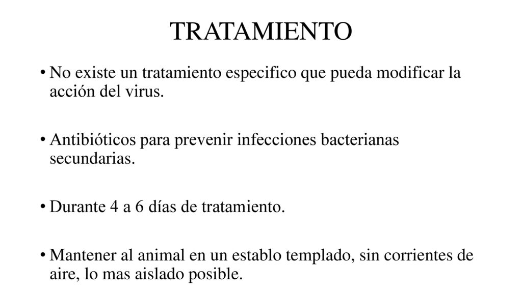 TRATAMIENTO No existe un tratamiento especifico que pueda modificar la acción del virus.