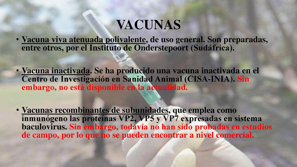 VACUNAS Vacuna viva atenuada polivalente, de uso general. Son preparadas, entre otros, por el Instituto de Onderstepoort (Sudáfrica).
