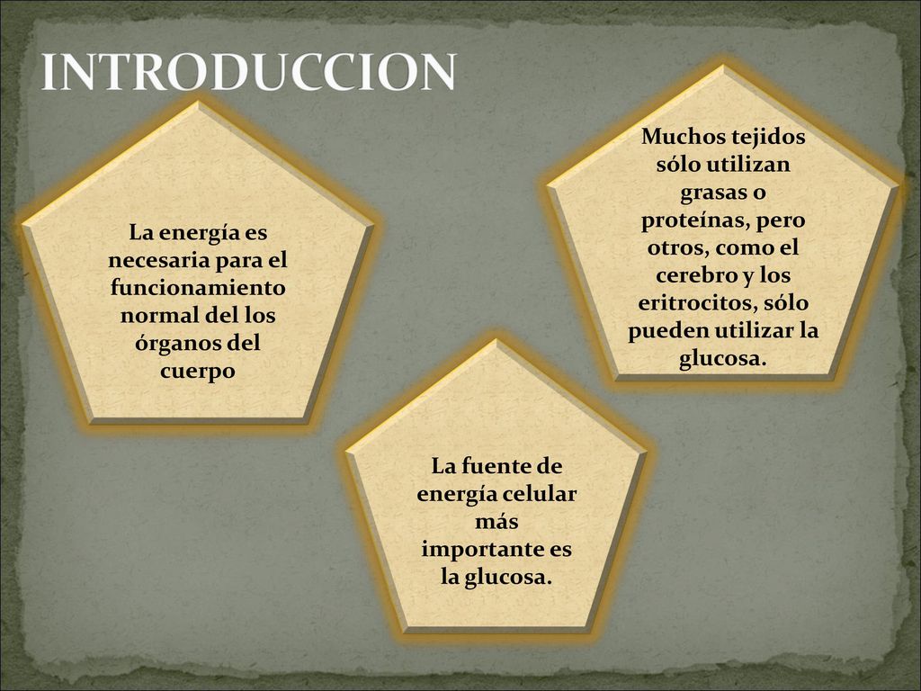 La fuente de energía celular más importante es la glucosa.