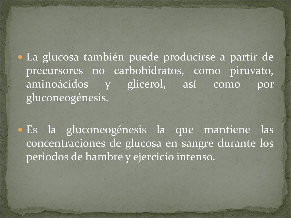 La glucosa también puede producirse a partir de precursores no carbohidratos, como piruvato, aminoácidos y glicerol, así como por gluconeogénesis.