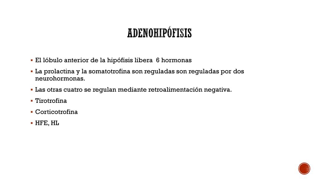 adenohipófisis El lóbulo anterior de la hipófisis libera 6 hormonas