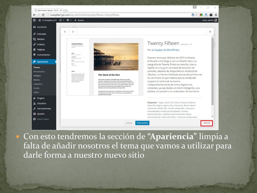 Con esto tendremos la sección de Apariencia limpia a falta de añadir nosotros el tema que vamos a utilizar para darle forma a nuestro nuevo sitio