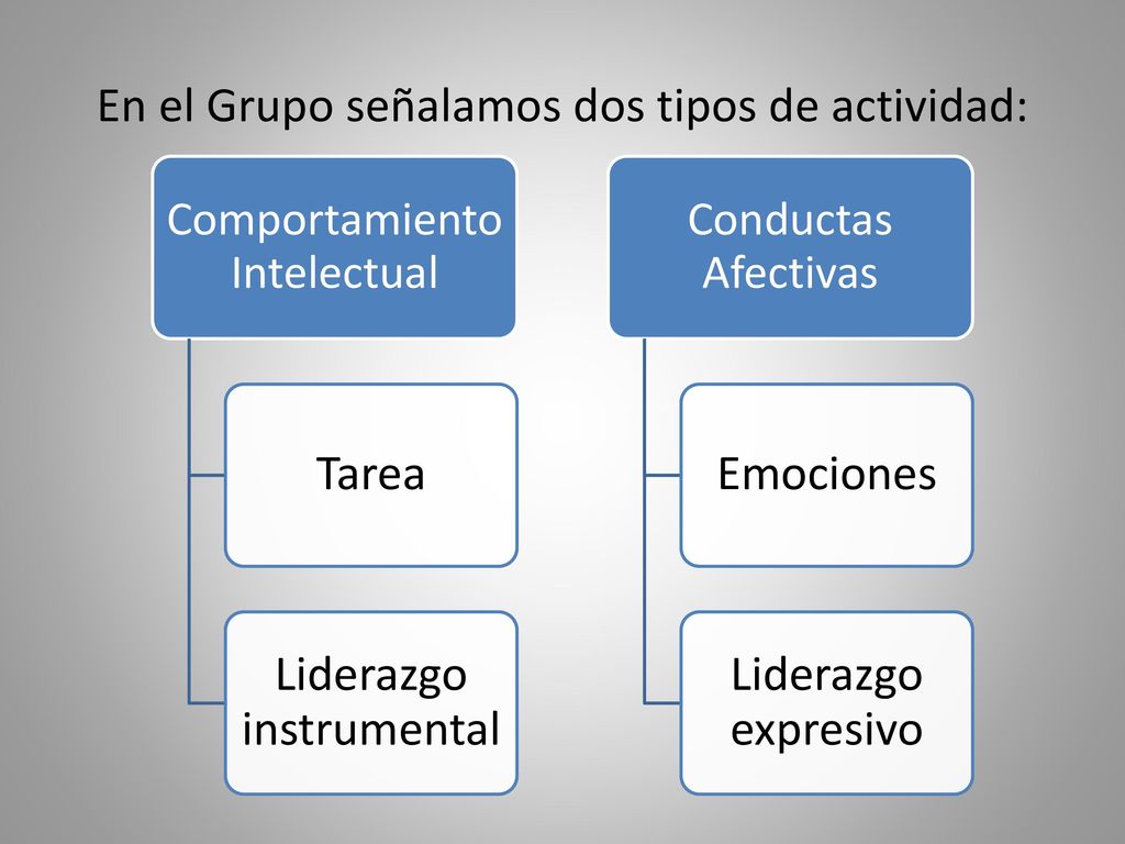 En el Grupo señalamos dos tipos de actividad: