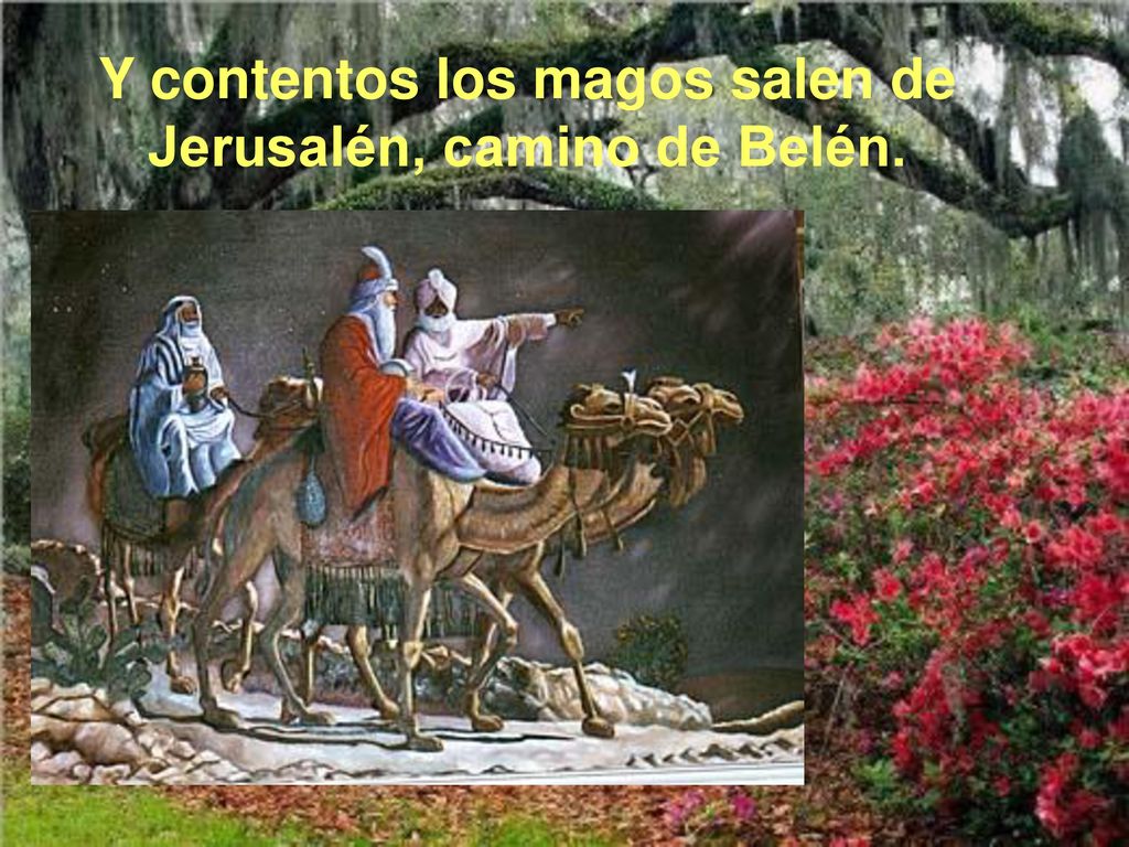 Y contentos los magos salen de Jerusalén, camino de Belén.