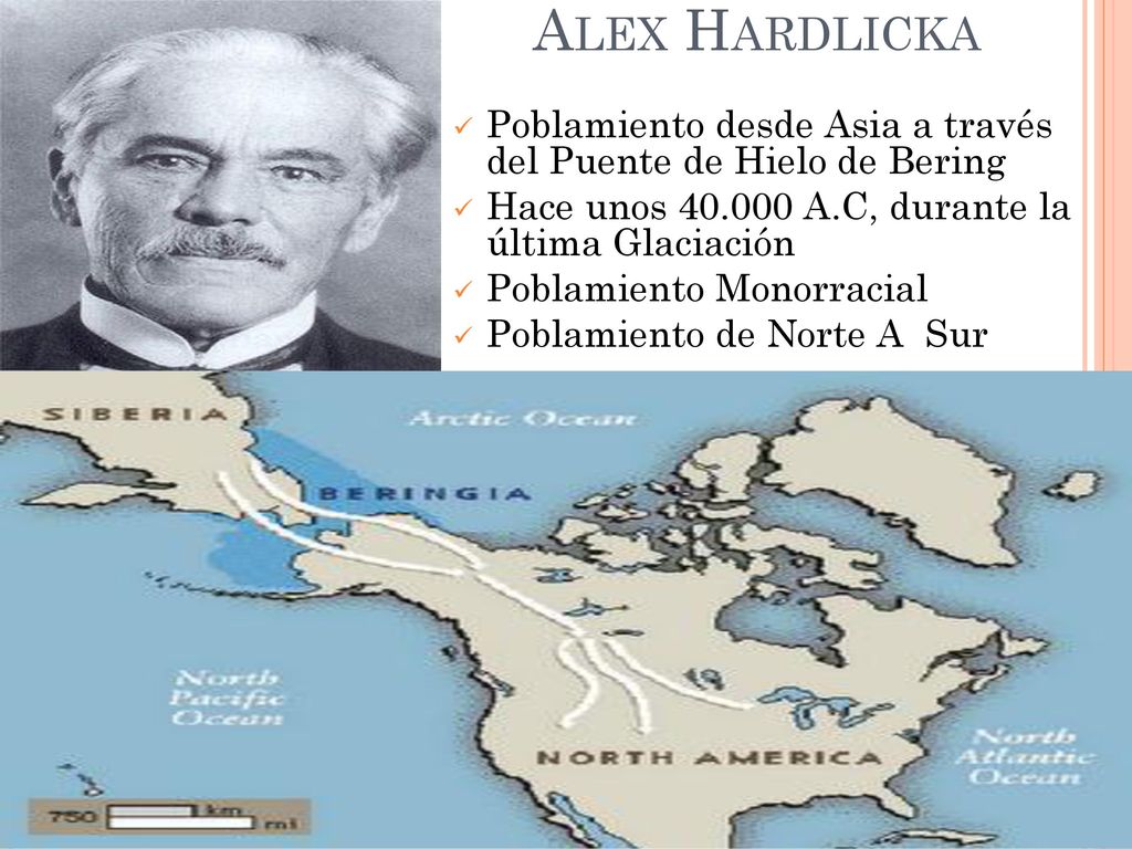 Alex Hardlicka Poblamiento desde Asia a través del Puente de Hielo de Bering. Hace unos A.C, durante la última Glaciación.