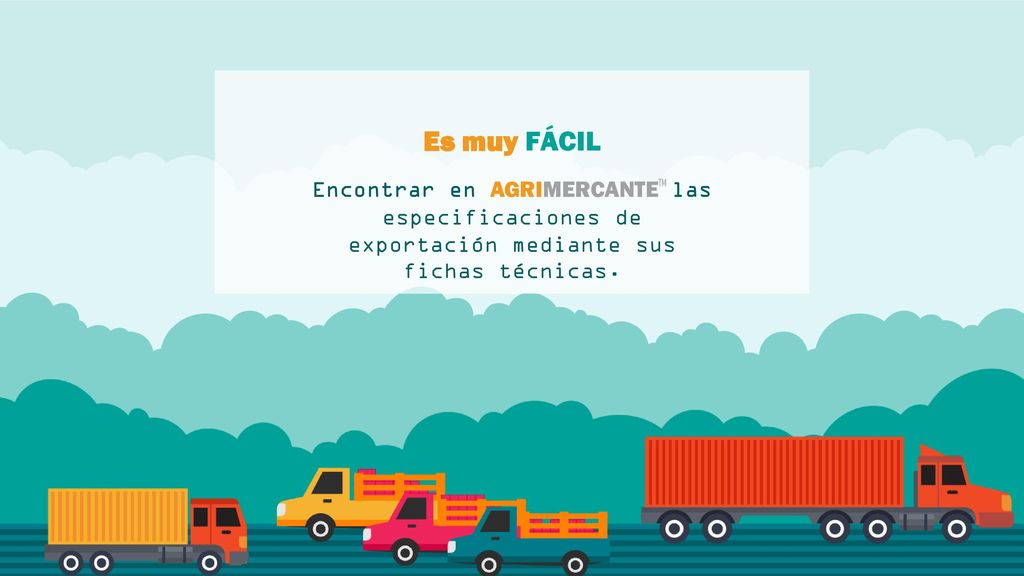 Es muy FÁCIL Encontrar en AGRIMERCANTETM las especificaciones de exportación mediante sus fichas técnicas.