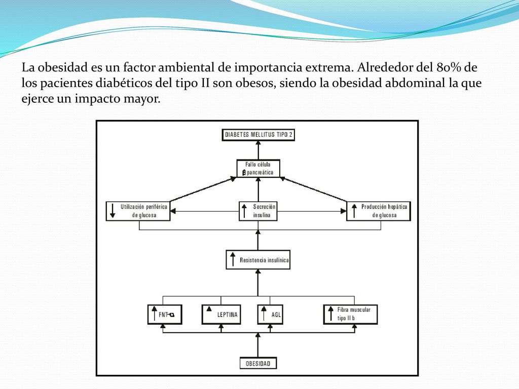 La obesidad es un factor ambiental de importancia extrema