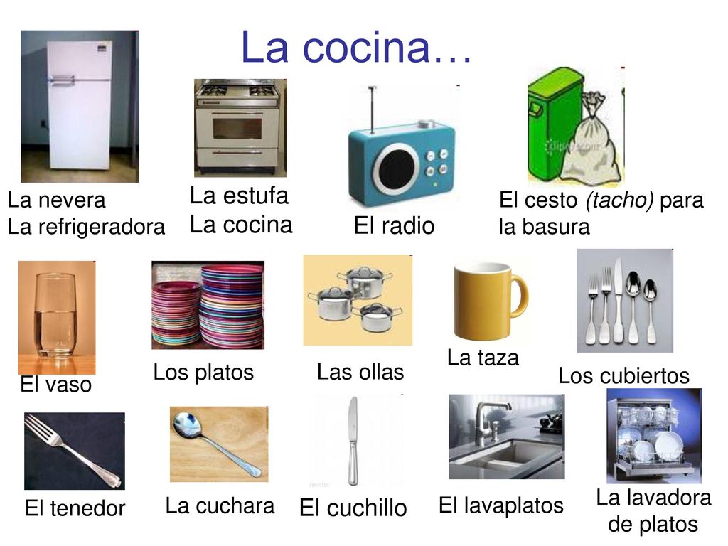 La cocina… La estufa La cocina El radio El cuchillo La nevera