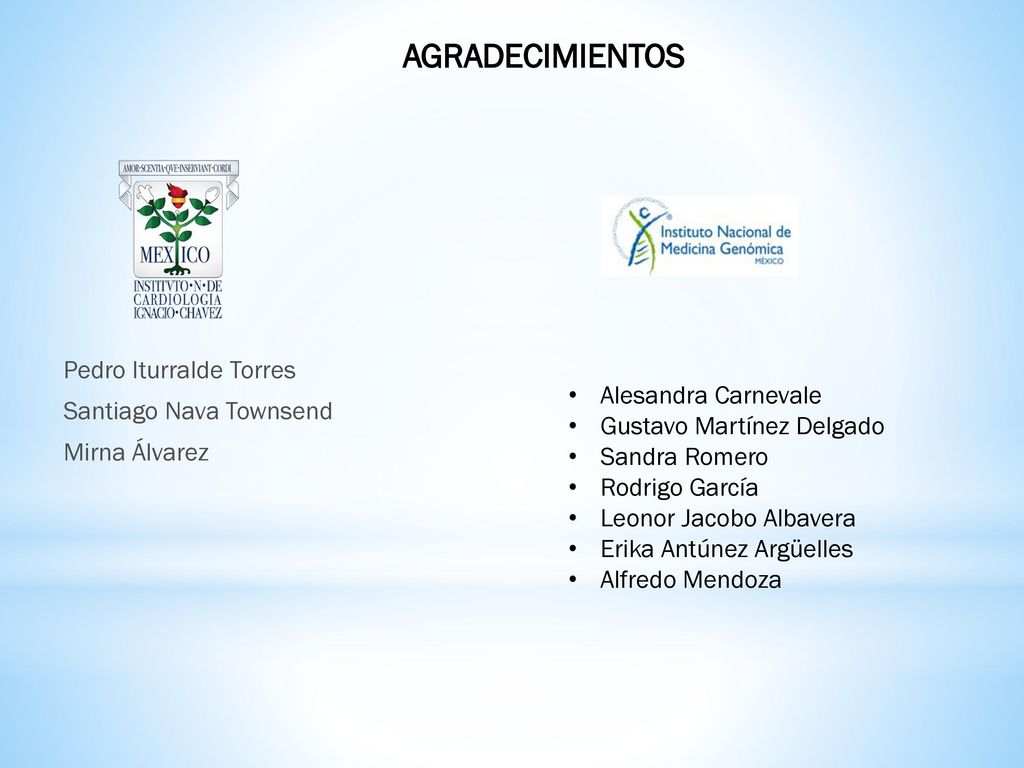 AGRADECIMIENTOS Pedro Iturralde Torres Santiago Nava Townsend Mirna Álvarez Alesandra Carnevale. Gustavo Martínez Delgado.