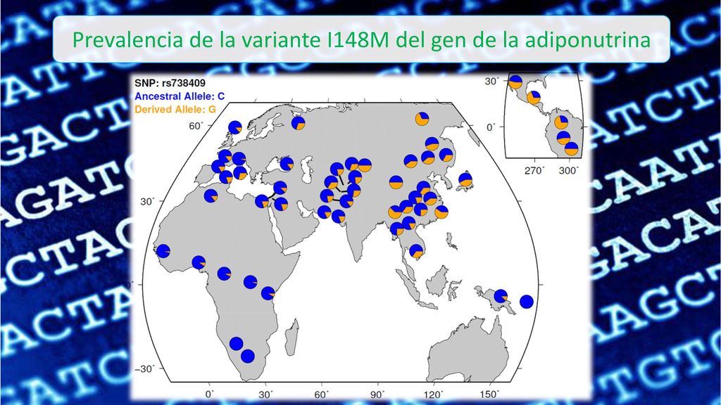 Prevalencia de la variante I148M del gen de la adiponutrina