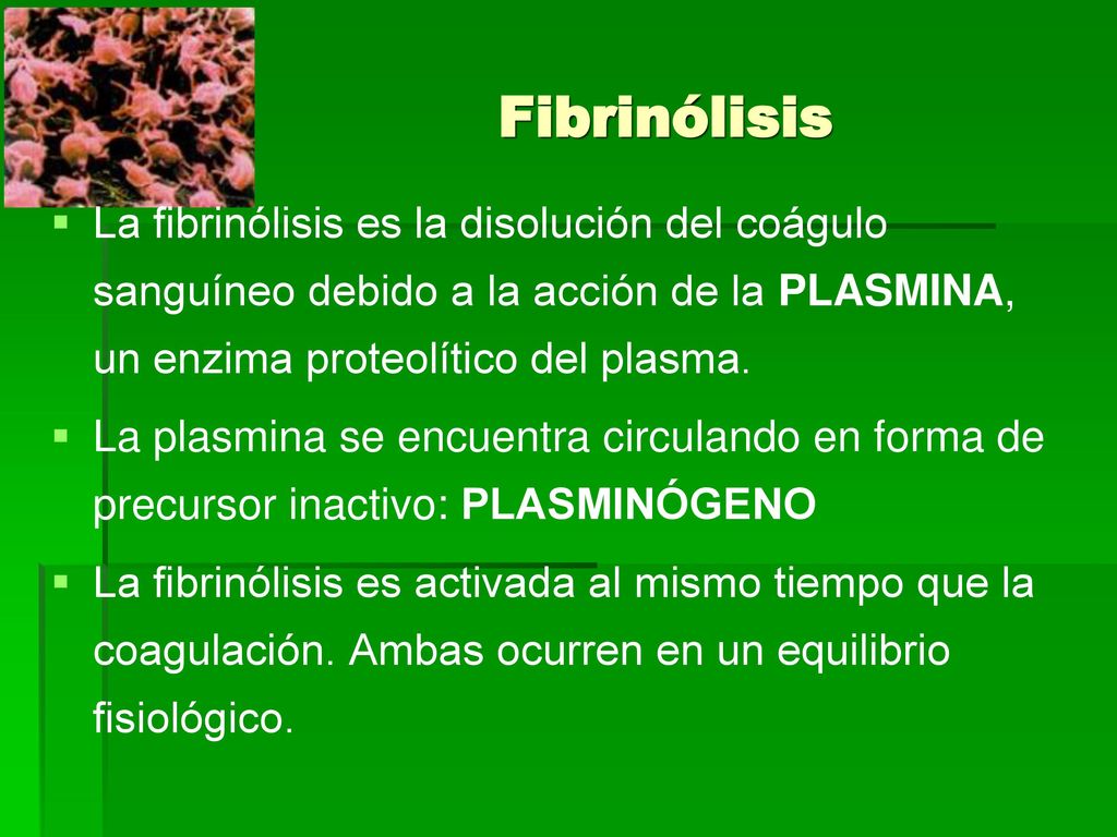 Fibrinólisis La fibrinólisis es la disolución del coágulo sanguíneo debido a la acción de la PLASMINA, un enzima proteolítico del plasma.