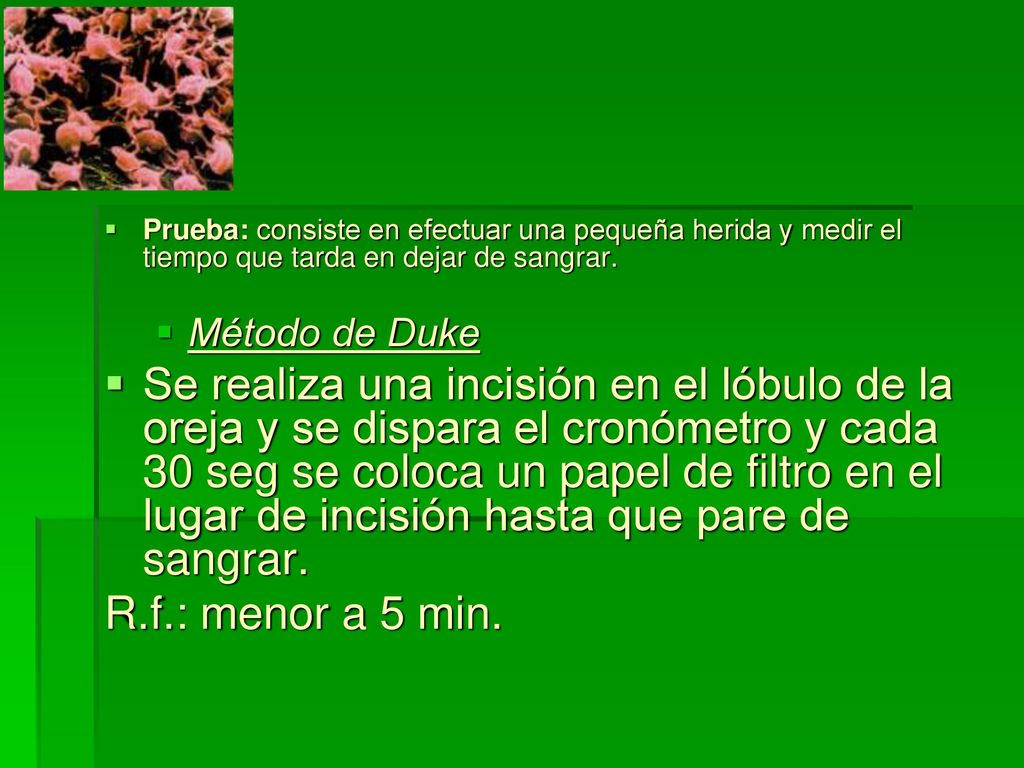 Prueba: consiste en efectuar una pequeña herida y medir el tiempo que tarda en dejar de sangrar.