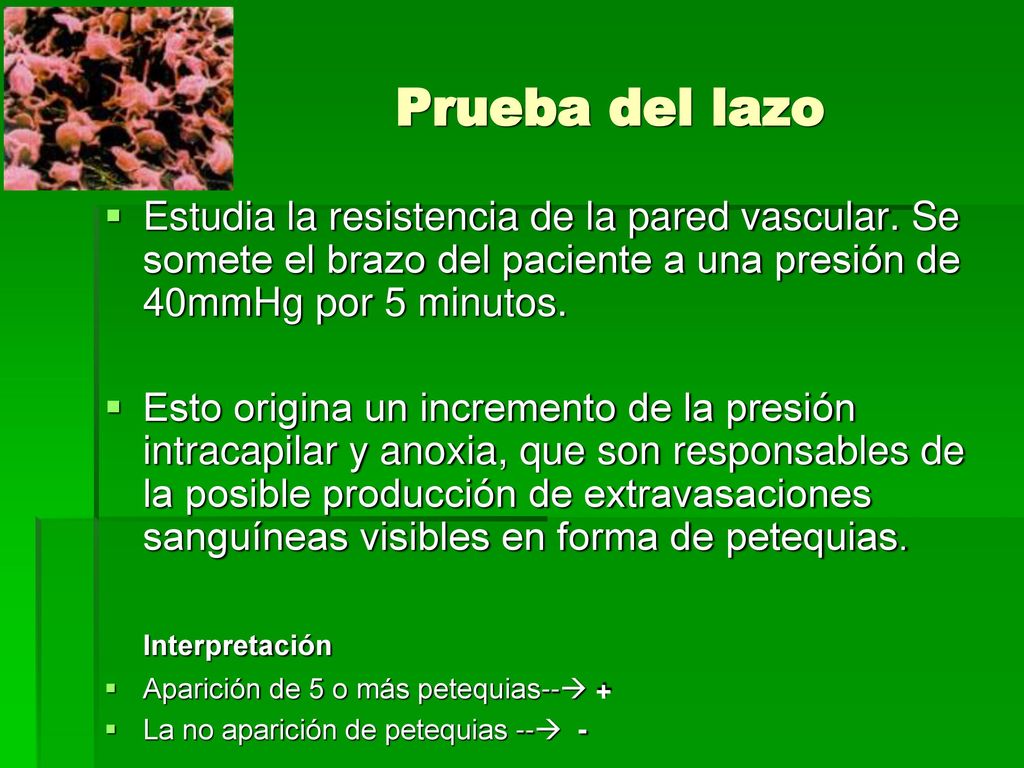Prueba del lazo Estudia la resistencia de la pared vascular. Se somete el brazo del paciente a una presión de 40mmHg por 5 minutos.