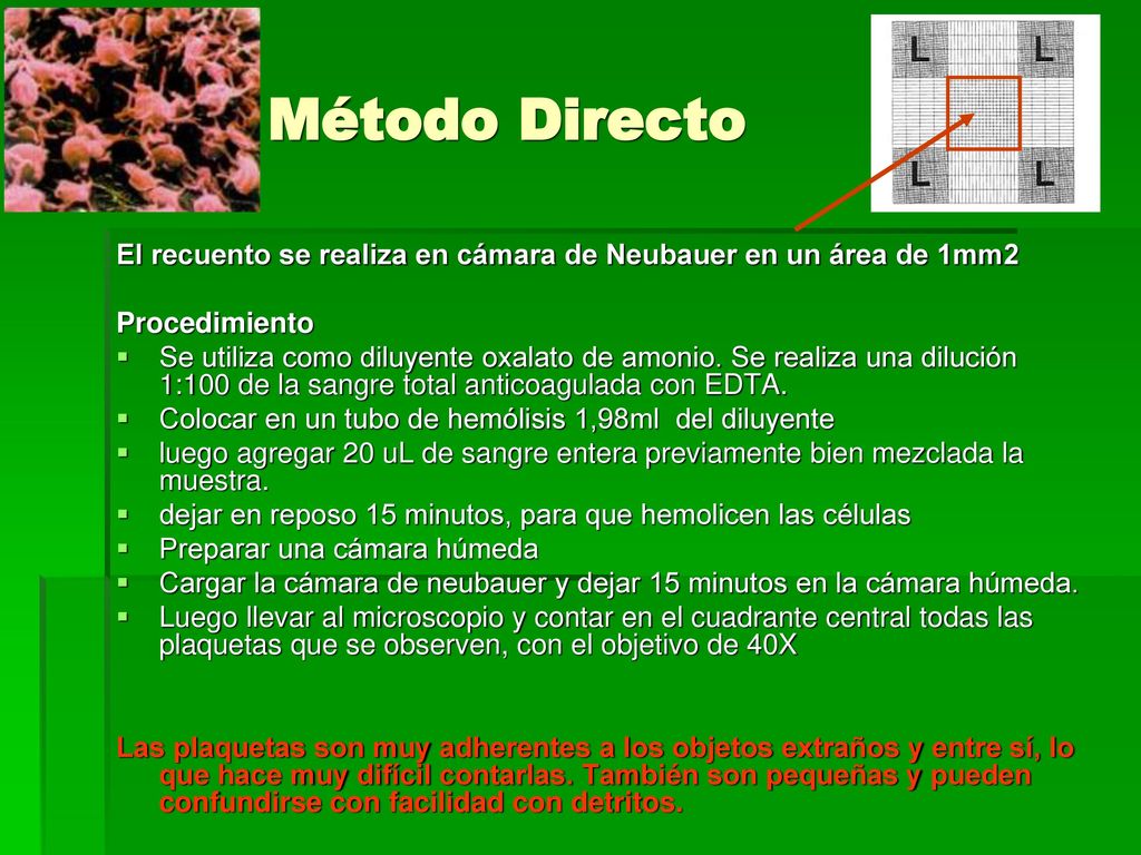 Método Directo El recuento se realiza en cámara de Neubauer en un área de 1mm2. Procedimiento.