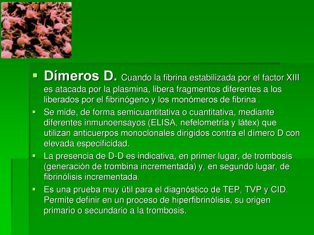 Dímeros D. Cuando la fibrina estabilizada por el factor XIII es atacada por la plasmina, libera fragmentos diferentes a los liberados por el fibrinógeno y los monómeros de fibrina .