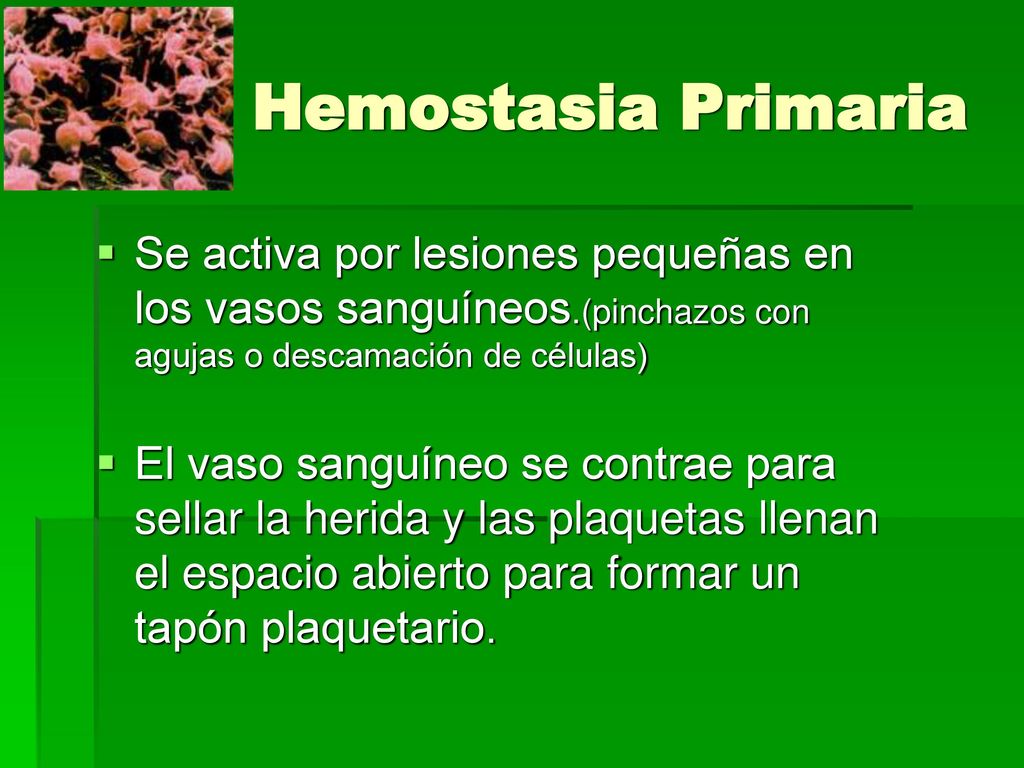 Hemostasia Primaria Se activa por lesiones pequeñas en los vasos sanguíneos.(pinchazos con agujas o descamación de células)