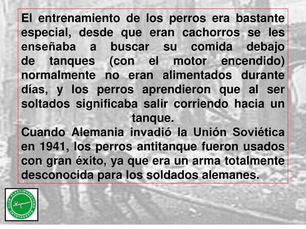El entrenamiento de los perros era bastante especial, desde que eran cachorros se les enseñaba a buscar su comida debajo de tanques (con el motor encendido) normalmente no eran alimentados durante días, y los perros aprendieron que al ser soltados significaba salir corriendo hacia un tanque.
