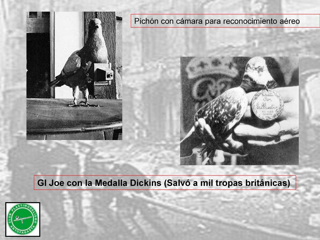 GI Joe con la Medalla Dickins (Salvó a mil tropas británicas)