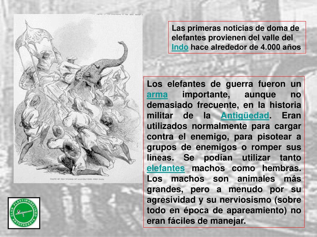 Las primeras noticias de doma de elefantes provienen del valle del Indo hace alrededor de años