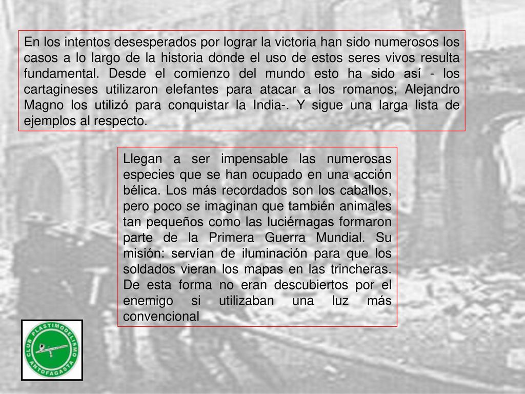 En los intentos desesperados por lograr la victoria han sido numerosos los casos a lo largo de la historia donde el uso de estos seres vivos resulta fundamental. Desde el comienzo del mundo esto ha sido así - los cartagineses utilizaron elefantes para atacar a los romanos; Alejandro Magno los utilizó para conquistar la India-. Y sigue una larga lista de ejemplos al respecto.