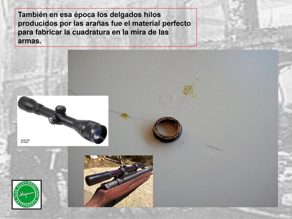 También en esa época los delgados hilos producidos por las arañas fue el material perfecto para fabricar la cuadratura en la mira de las armas.