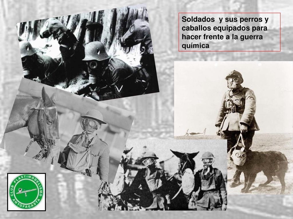 Soldados y sus perros y caballos equipados para hacer frente a la guerra química