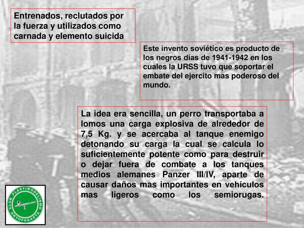 Entrenados, reclutados por la fuerza y utilizados como carnada y elemento suicida