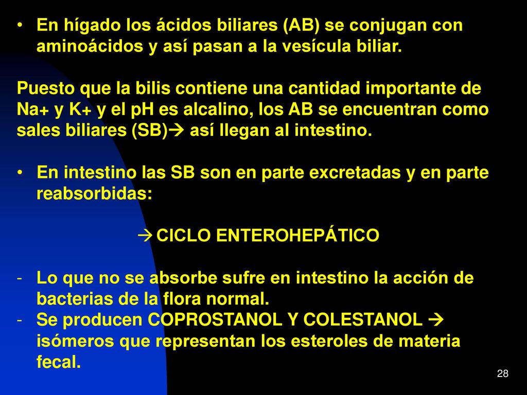 En hígado los ácidos biliares (AB) se conjugan con aminoácidos y así pasan a la vesícula biliar.