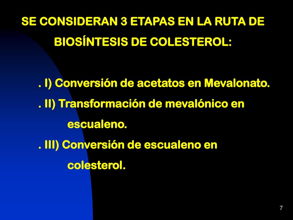 SE CONSIDERAN 3 ETAPAS EN LA RUTA DE BIOSÍNTESIS DE COLESTEROL:
