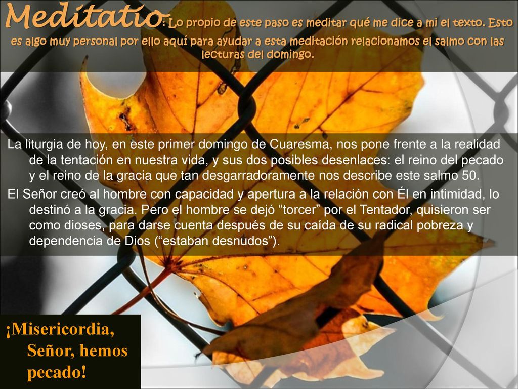 Meditatio: Lo propio de este paso es meditar qué me dice a mi el texto