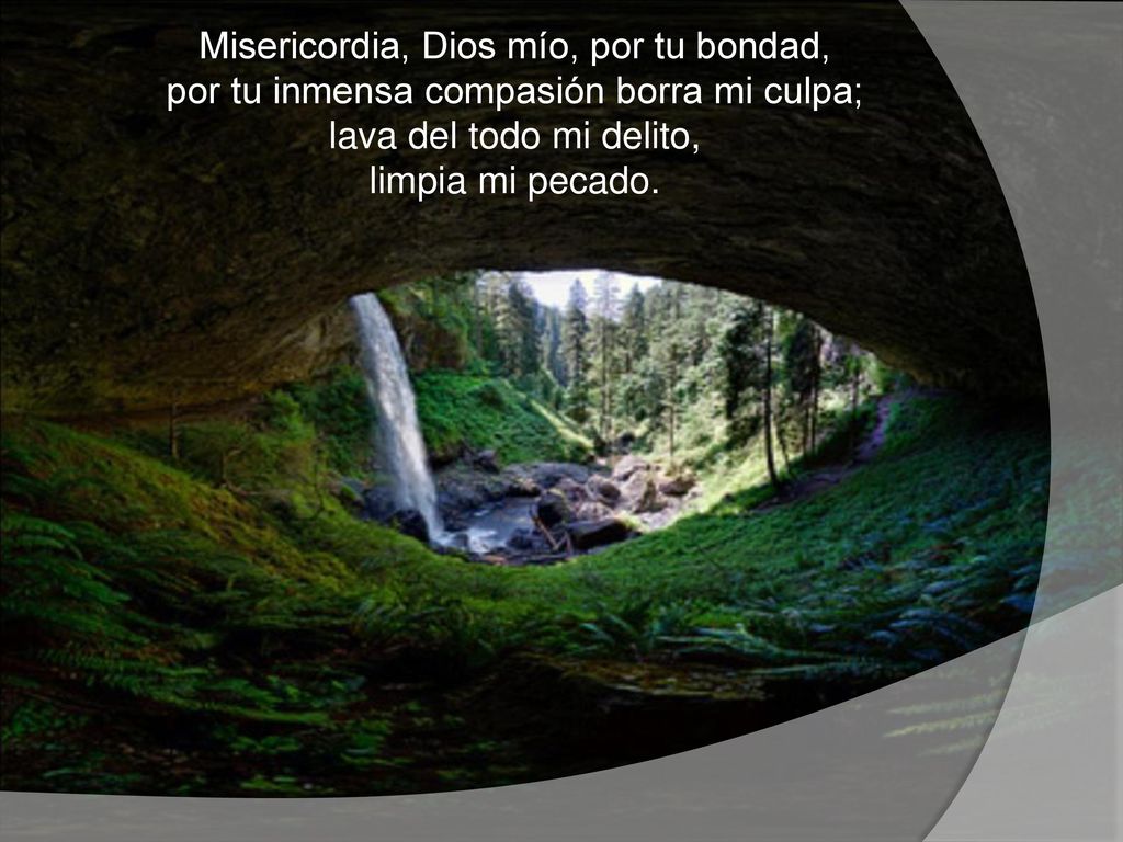 Misericordia, Dios mío, por tu bondad, por tu inmensa compasión borra mi culpa; lava del todo mi delito, limpia mi pecado.