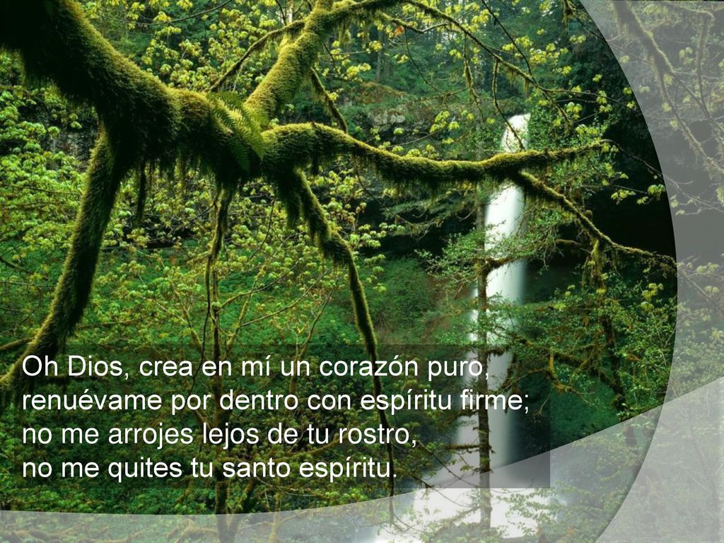 Oh Dios, crea en mí un corazón puro, renuévame por dentro con espíritu firme; no me arrojes lejos de tu rostro, no me quites tu santo espíritu.