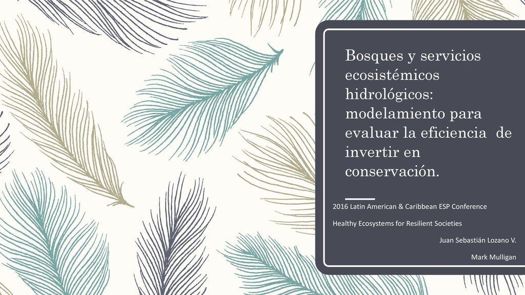 Bosques y servicios ecosistémicos hidrológicos: modelamiento para evaluar la eficiencia de invertir en conservación.
