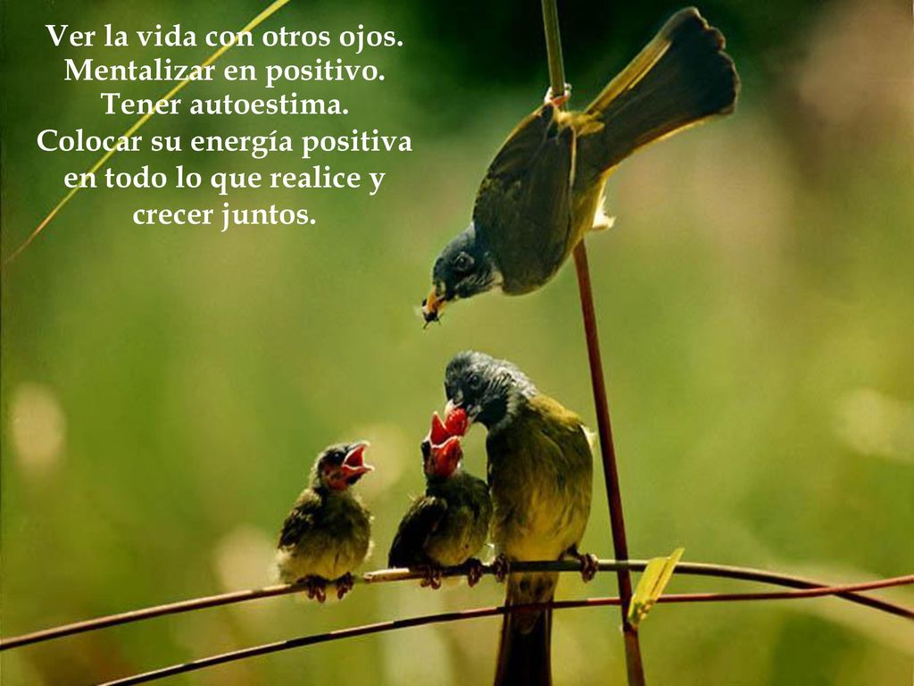 Ver la vida con otros ojos. Mentalizar en positivo. Tener autoestima.