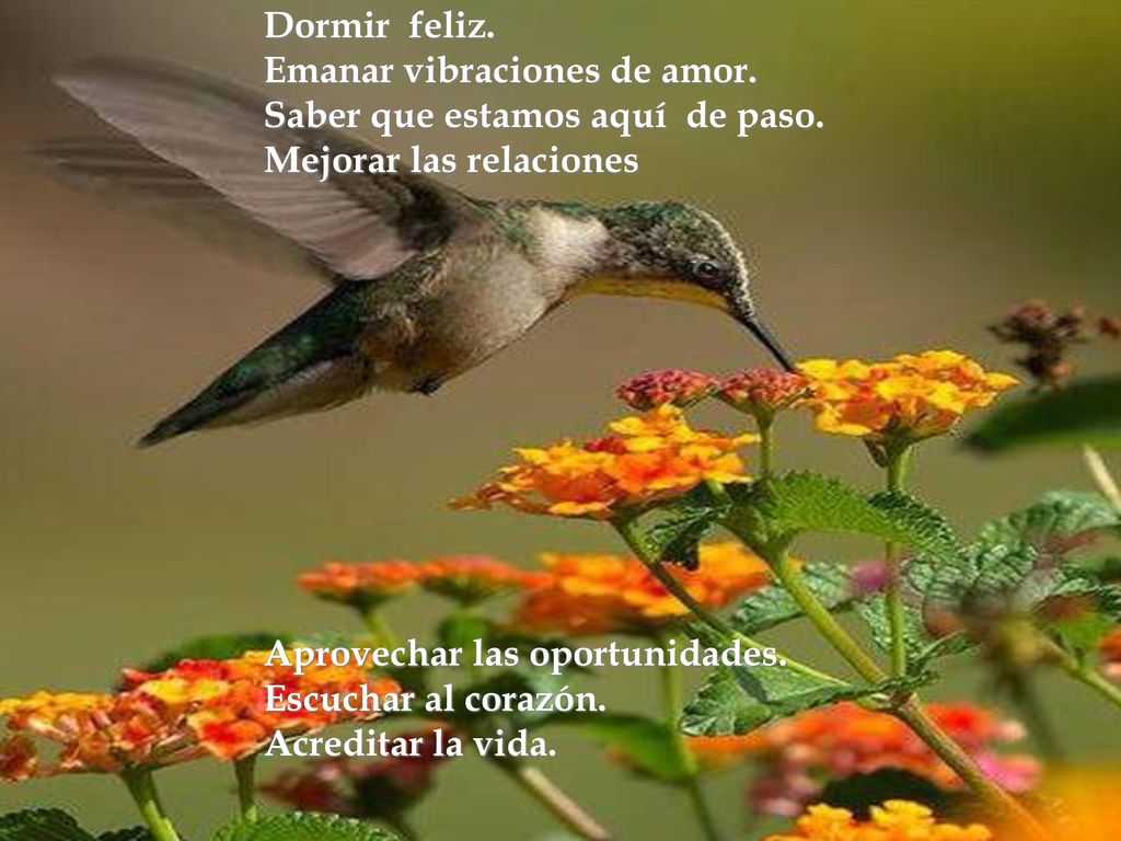Emanar vibraciones de amor. Saber que estamos aquí de paso.