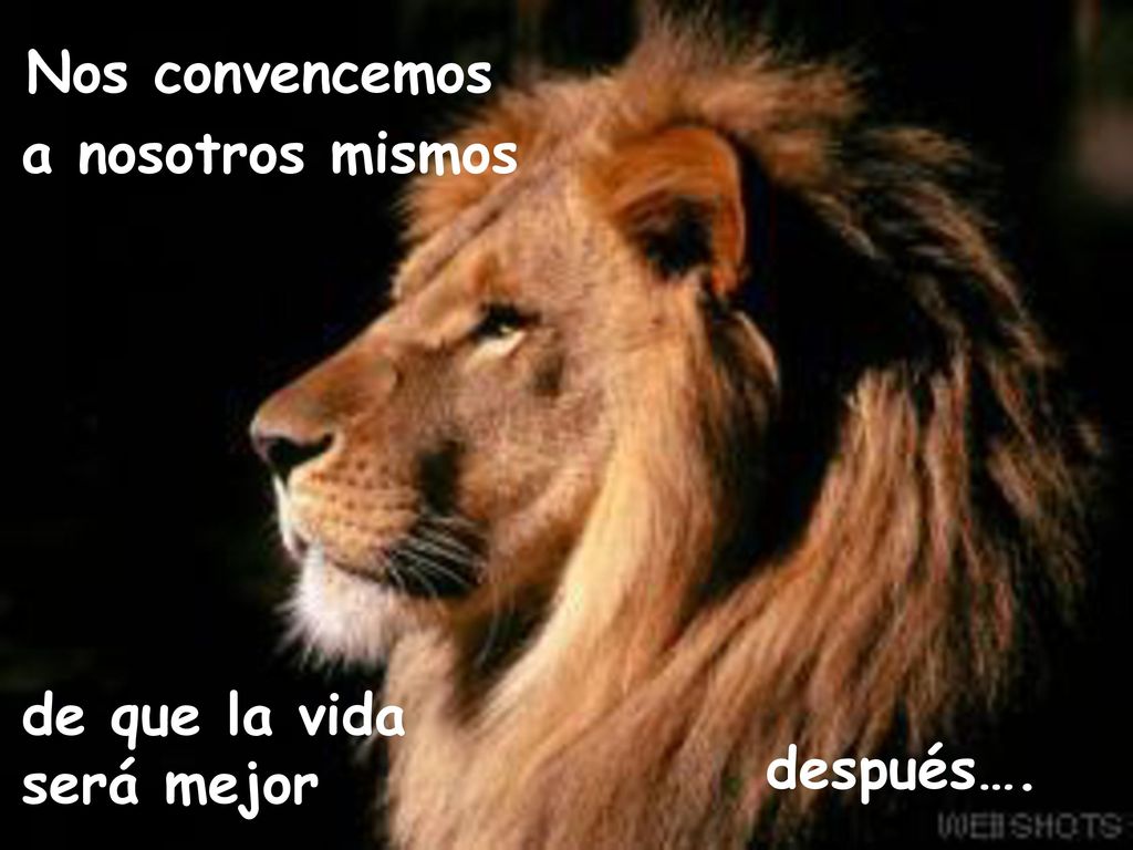 Nos convencemos a nosotros mismos de que la vida será mejor después….