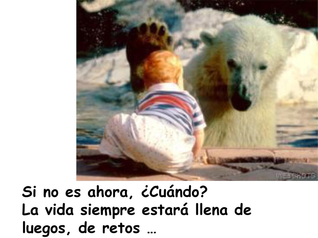 Si no es ahora, ¿Cuándo La vida siempre estará llena de luegos, de retos …