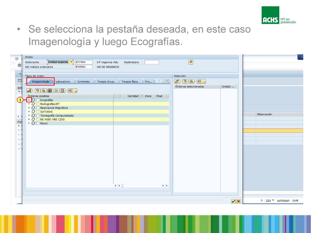 Se selecciona la pestaña deseada, en este caso Imagenología y luego Ecografías.