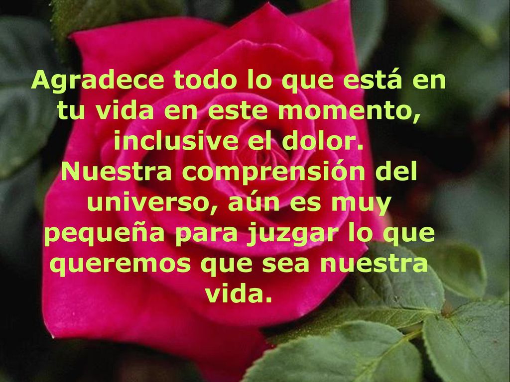 Agradece todo lo que está en tu vida en este momento, inclusive el dolor.