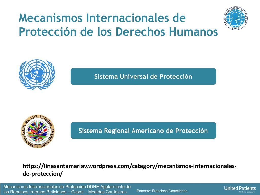 Instrumentos de Protección de Mecanismos Internacionales de Protección de los Derechos Humanos Amparos, Quejas y Reclamos