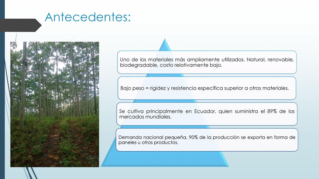 Antecedentes: Uno de los materiales más ampliamente utilizados. Natural, renovable, biodegradable, costo relativamente bajo.