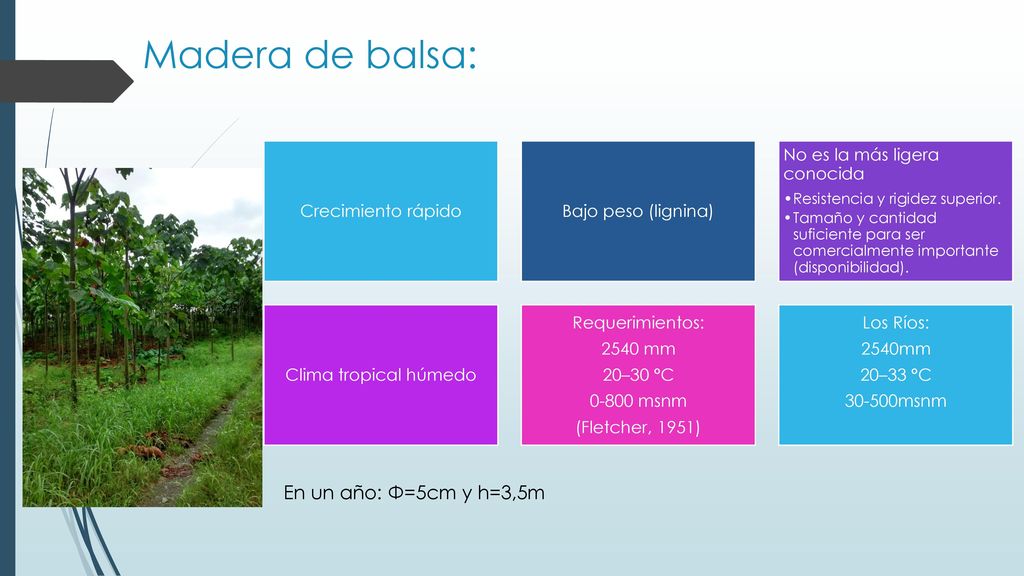 Madera de balsa: En un año: Φ=5cm y h=3,5m Crecimiento rápido