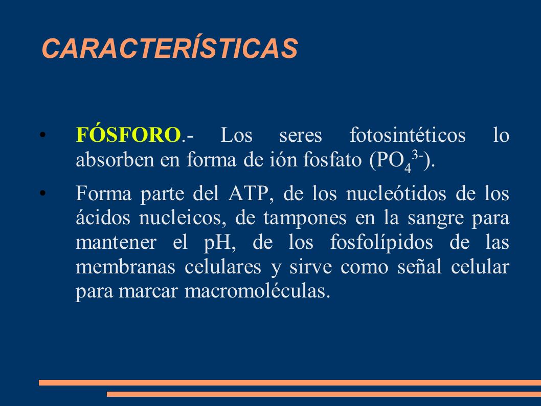 CARACTERÍSTICAS FÓSFORO.- Los seres fotosintéticos lo absorben en forma de ión fosfato (PO43-).